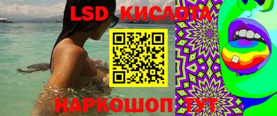индика Новозыбков