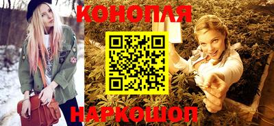 индика Новозыбков