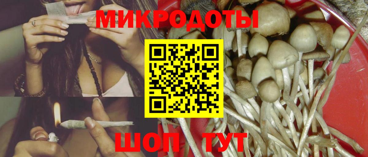Псилоцибиновые грибы Psilocybine cubensis  Вход с VPN  Сокол 